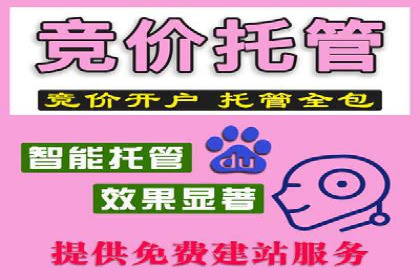 Sem优化公司案例：优化方案定制服务